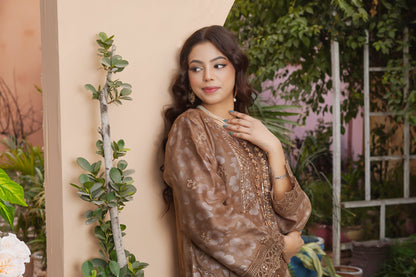 Brown 3 piece suit stich